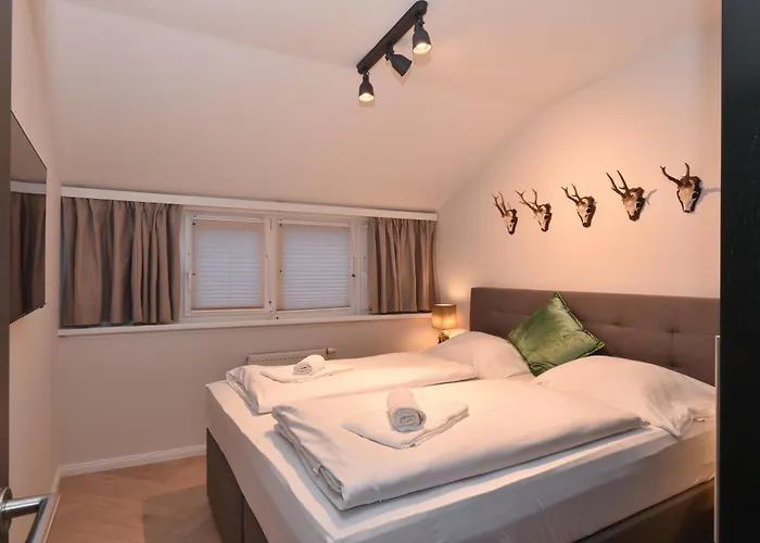 Penthouse Mountain And View, Terrace, Aircondition, Incl Summer Card Zell am See